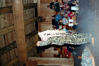 023_20.JPG
